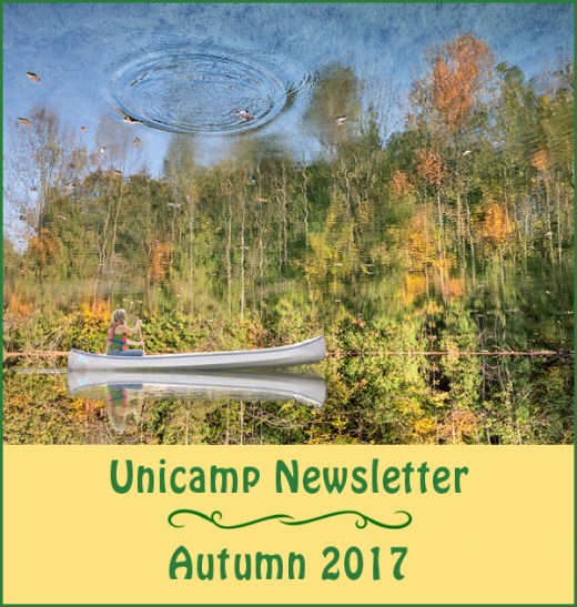 Unicamp Autumn 2017 Newsletter