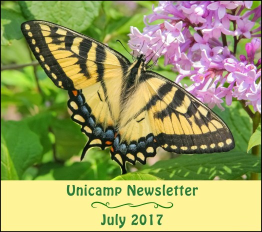 July 2017 Newsletter