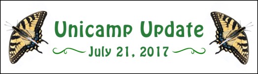 Unicamp Update July 21, 2017