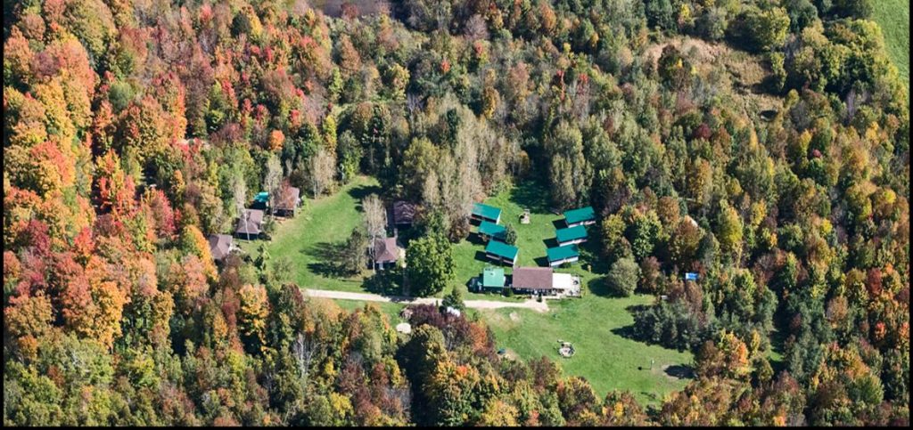 Unicamp Newsletter – November&nbsp;2020