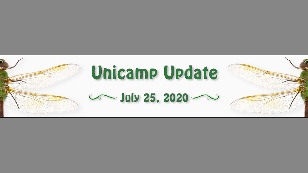 Unicamp Update – July 25, 2020