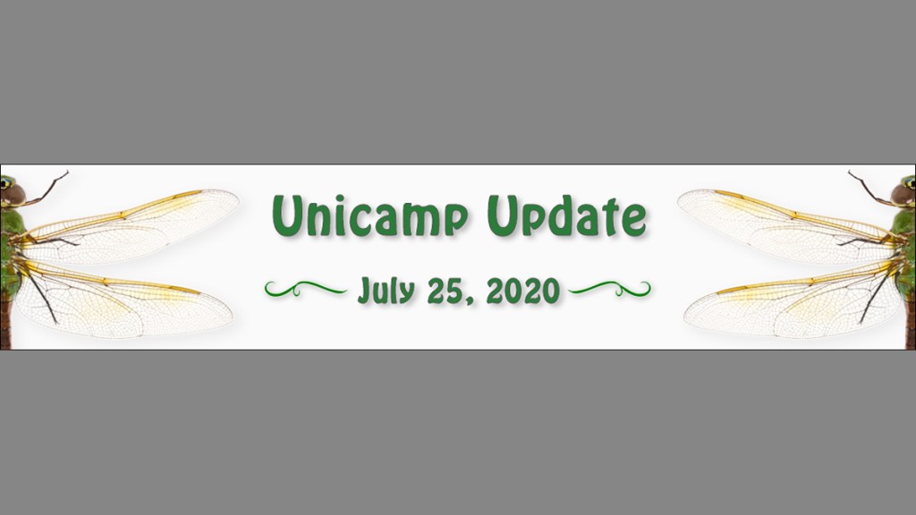 Unicamp Update – July 25,&nbsp;2020