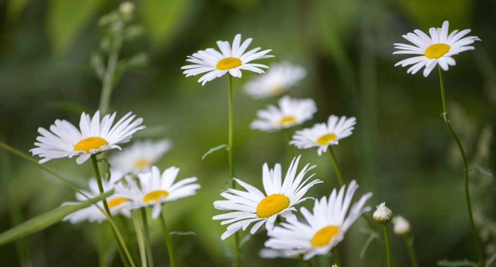 Unicamp Board Meeting Minutes are now password&nbsp;protected